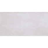 MAIOLICA GREY 30x60 4631